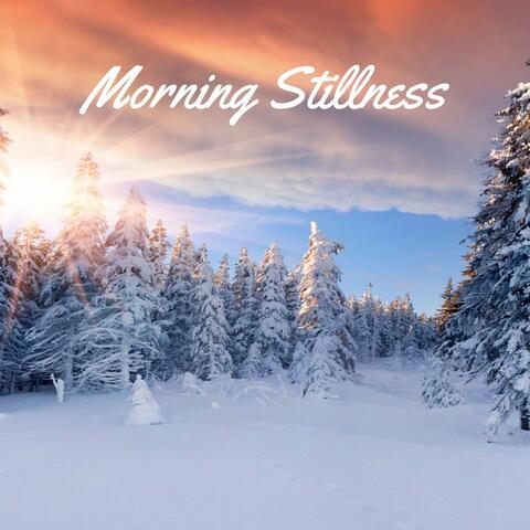 Morning Stillness