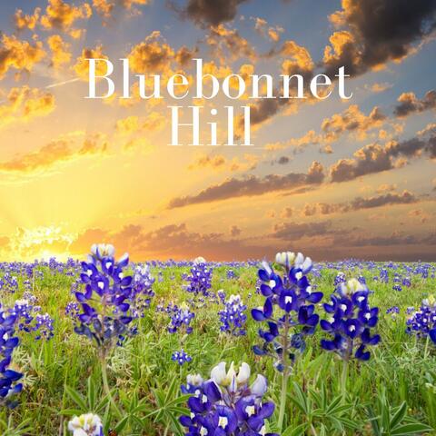 Bluebonnet Hill