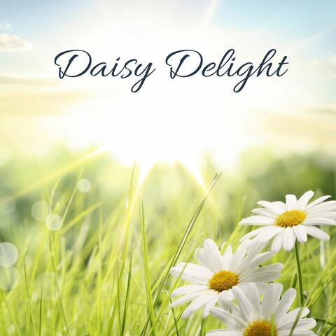 Daisy Delight