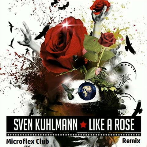 Like a Rose
