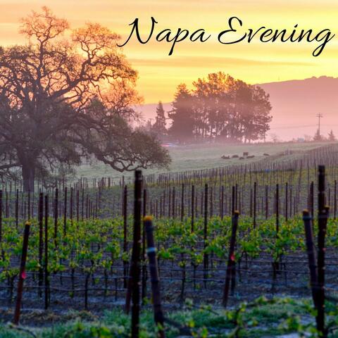 Napa Evening