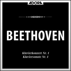 Klavierkonzert No. 1 in C Major, Op. 15: I. Allegro con brio