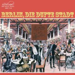 Wenn die Sonne hinter den Dächern versinkt