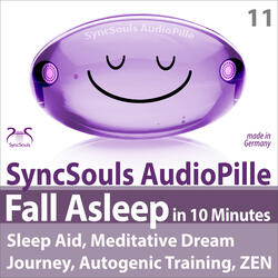 Introduction SyncSouls Audio Pille