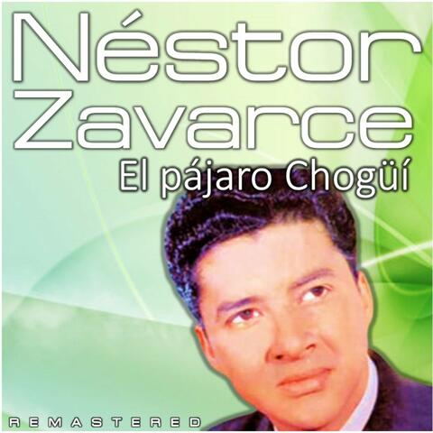 El pájaro chogüí