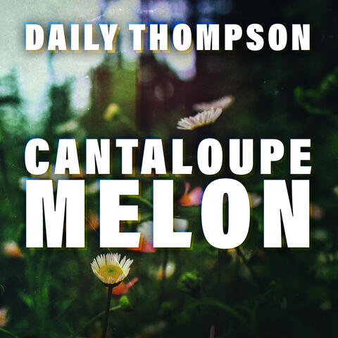 Cantaloupe Melon
