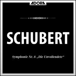 Symphonie No. 9 für Orchester in C Major, D. 944: I. Andante Allego ma non troppo