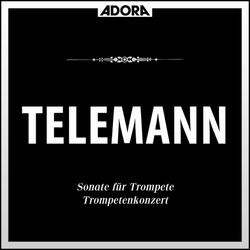 Fantasie für Blockflöte in D Major: I. Alla francese - Largo - Allegro - Largo