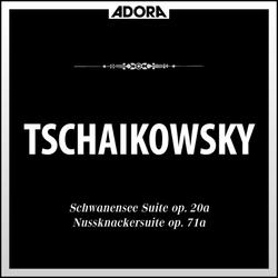 Schwanensee für Orchester und Violine, Op. 20 A: No. 6, Ungarischer Tanz
