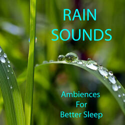Gentle Rain Sounds