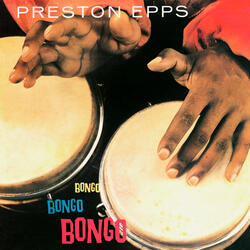 Prest Bongos Under Glass