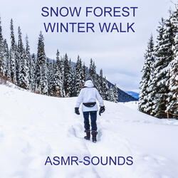 Walking Through Snow