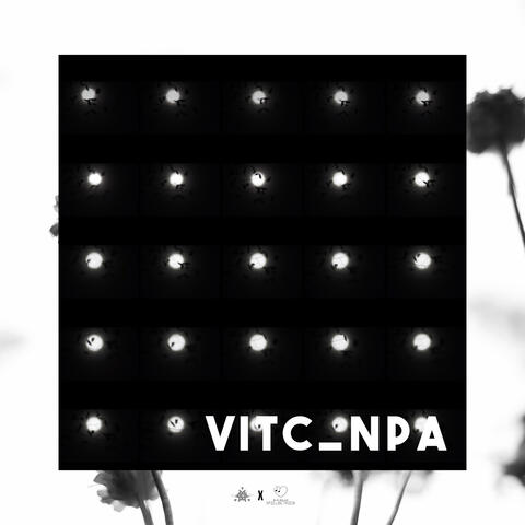 VitC_Npa