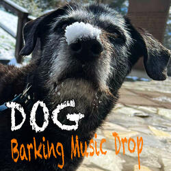 Dog Barking Music Drop