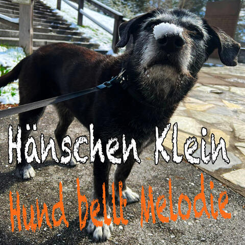 Hänschen Klein (Hund bellt Melodie)