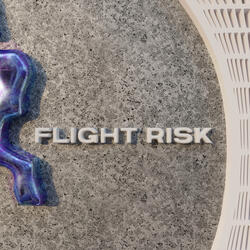 FLIGHT RISK