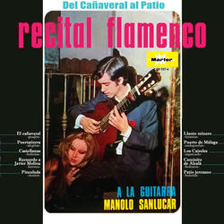 Pincelada (tientos)