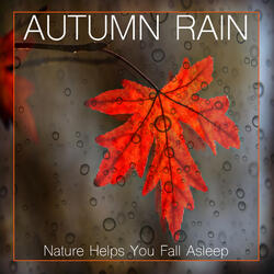 Nature Sounds - Rain in Autumn