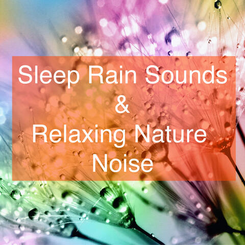 Sleep Rain Sounds and Relaxing Nature Noise (For Relaxation and Better Sleep)