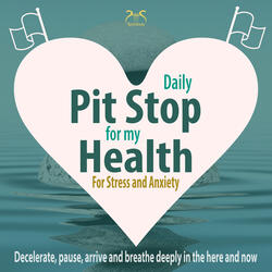 Introduction: Daily Pit Stop for My Health! Decelerate, Pause, Arrive and Breathe
