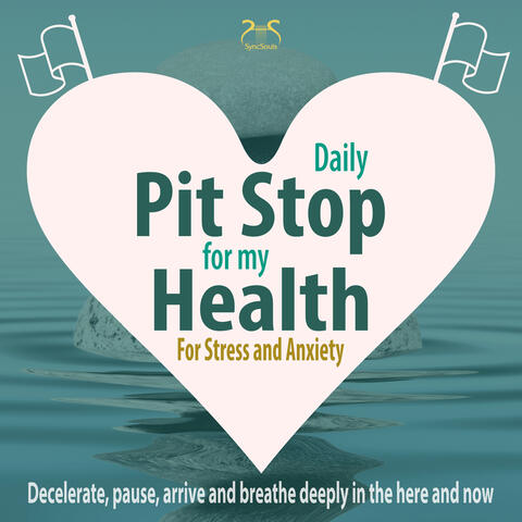 Daily Pit Stop for My Health! Decelerate, Pause, Arrive and Breathe Deeply in the Here and Now - For Stress and Anxiety