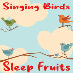 Singing Birds Lullaby