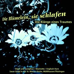 Die Blümelein, sie schlafen - Klänge eines Traumes: Les Cloches de Hinckley