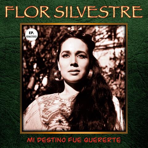 Mi destino fue quererte