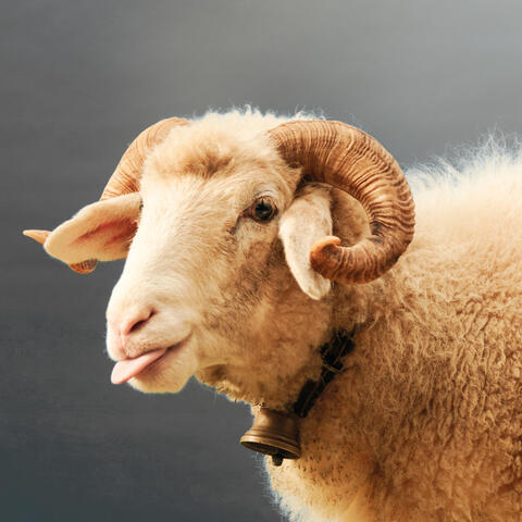 Bis Es Mir Wieder Guet Gaht