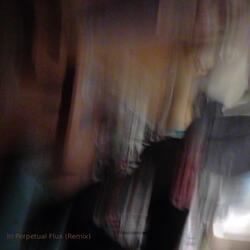 In Perpetual Flux