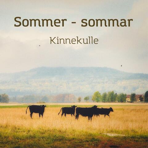 Kinnekulle sommar - Sommer