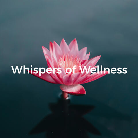 Whispers of Wellness: Calming Forest Soundscape