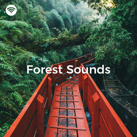 Forest Sounds: Wandering Through Whispering Pines