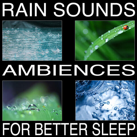 Rain Sounds (Ambiences for Better Sleep)