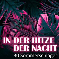 Ohne Dich
