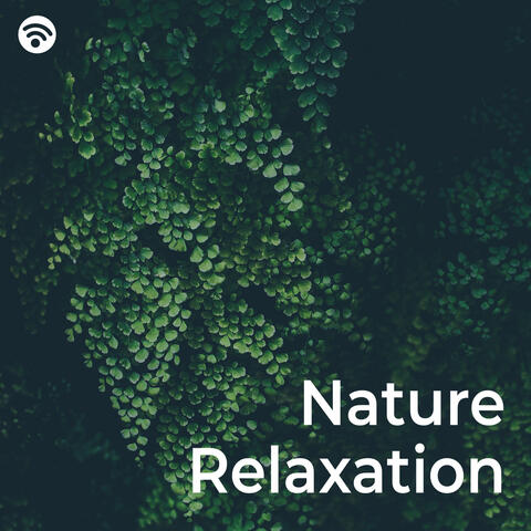 Nature Relaxation (Green Noise Meditation)