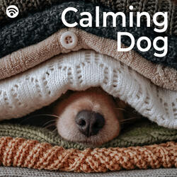 Zen Dog's Dreamland