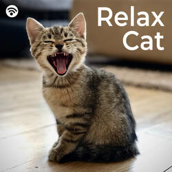 Blissful Purrs: Relaxation Music for Cats