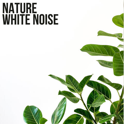 Nature White Noise