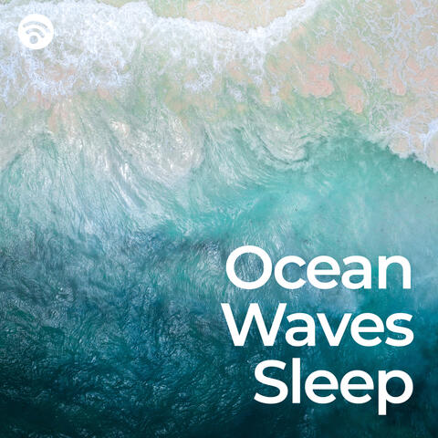 Ocean Waves Sleep (Calm Sea at Night)