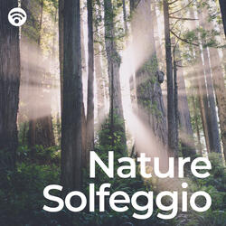Serene Solfeggio Awakening in Nature