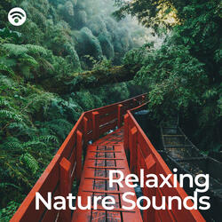 Serene Retreat in Nature's Symphony