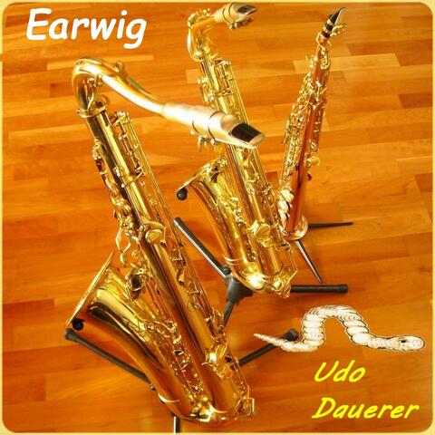 Earwig