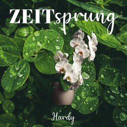 Zeitsprung