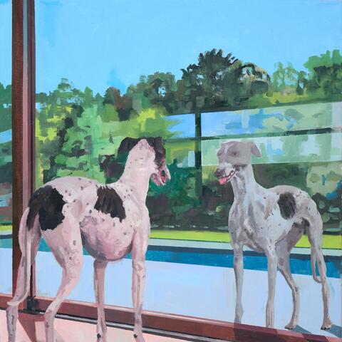 Dos galgos blancos