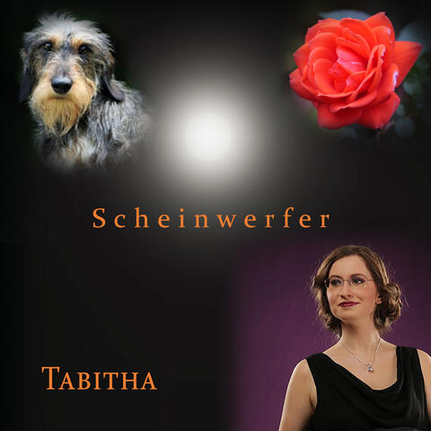 Scheinwerfer