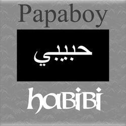 Habibi