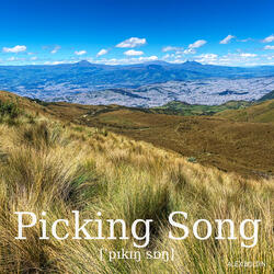 Picking Song