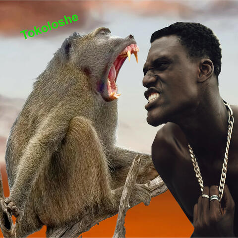 Tokoloshe