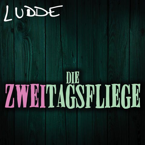 Die Zweitagsfliege